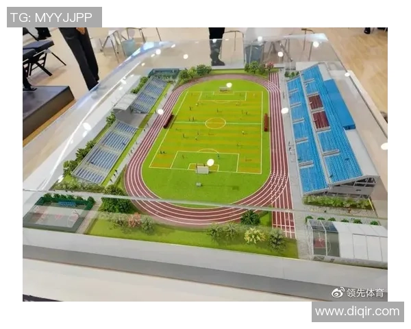 武汉乒乓球队的崛起与发展：力量与未来的深度探讨