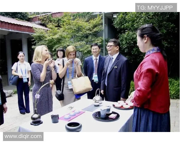 独家解析：北京排球队团队协作的优势与不足全面对比分析