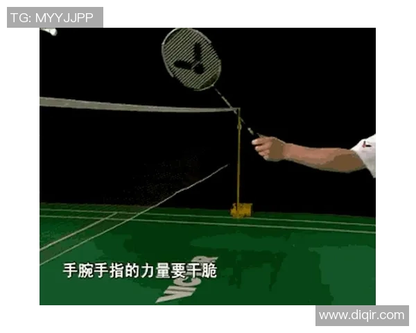 上海羽毛球队反击之路的得失与启示分析