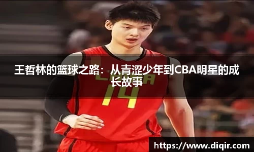 王哲林的篮球之路：从青涩少年到CBA明星的成长故事