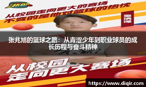 DB旗舰官网