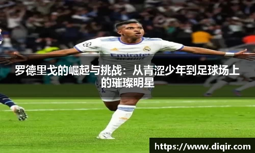 DB旗舰官网