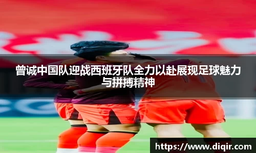 DB旗舰官网