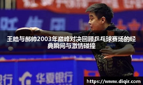 王皓与郝帅2003年巅峰对决回顾乒乓球赛场的经典瞬间与激情碰撞