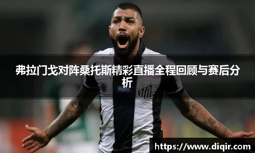弗拉门戈对阵桑托斯精彩直播全程回顾与赛后分析