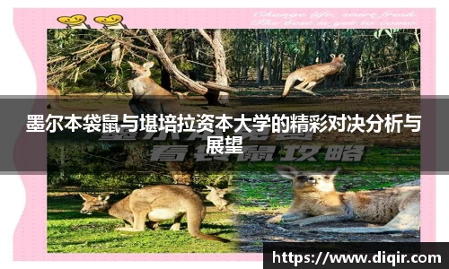 墨尔本袋鼠与堪培拉资本大学的精彩对决分析与展望